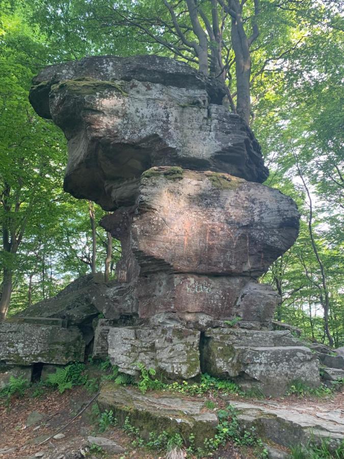 Schronisko Gorskie Pttk Na Jaworzynie Krynickiej Krynica-Zdrój Exteriör bild