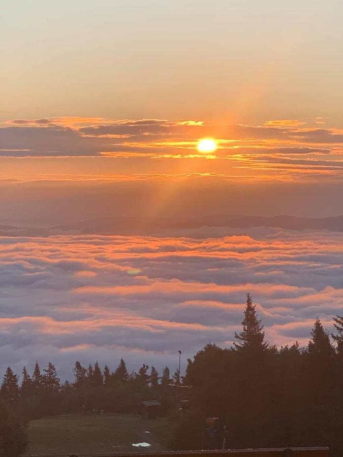 Schronisko Gorskie Pttk Na Jaworzynie Krynickiej Krynica-Zdrój Exteriör bild